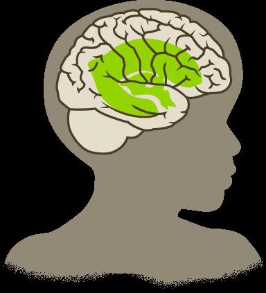 hydrocephalic syndrome ในเด็ก 