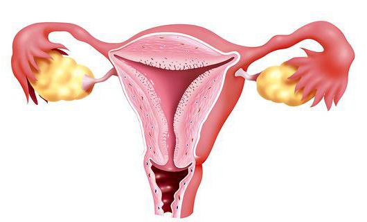 early postpartum hypotonic bleeding 