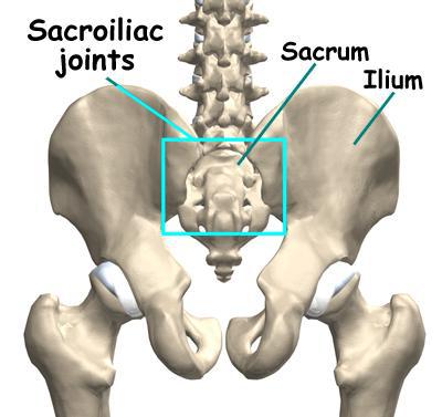 sakroiliakal ledd