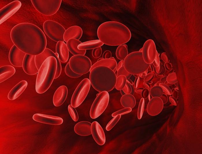 bir çocuğun kanında artan kırmızı kan hücreleri 