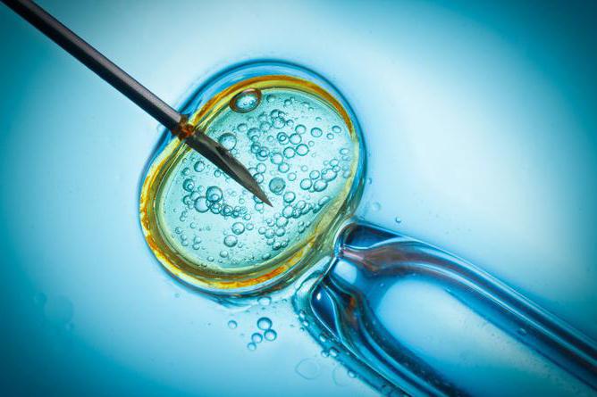 embrião replantado com fertilização in vitro, como isso acontece