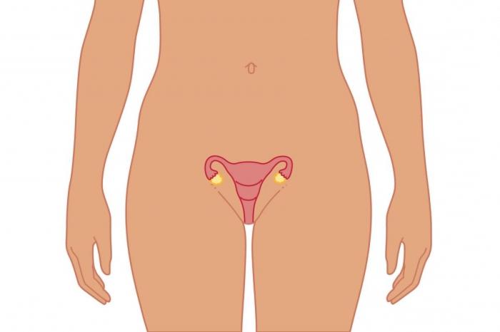как да предизвика менструация