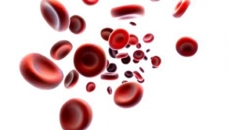 تحديد فصائل الدم حسب نظام AVO 