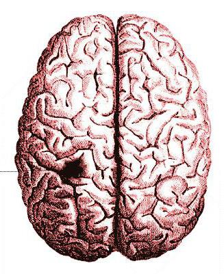 az ischaemiás agyi stroke prekurzorai 