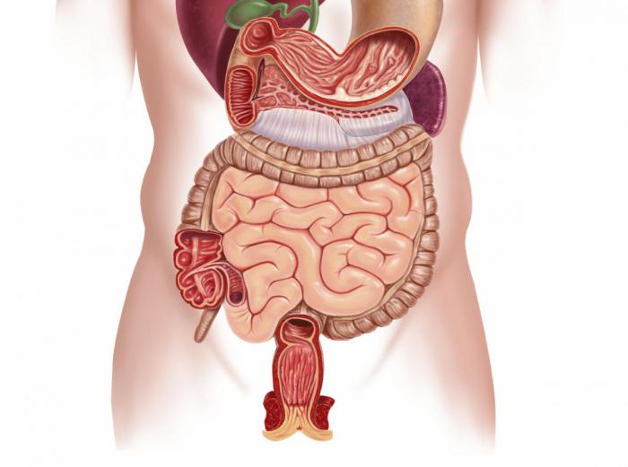 Sintomi di ulcera allo stomaco e all'intestino