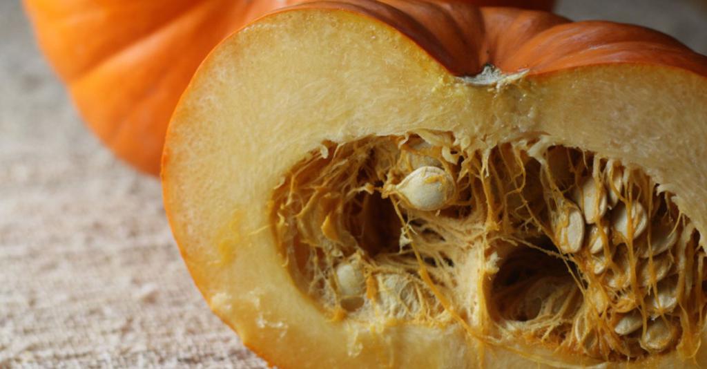 Beneficios y daños de las semillas de calabaza blanca.