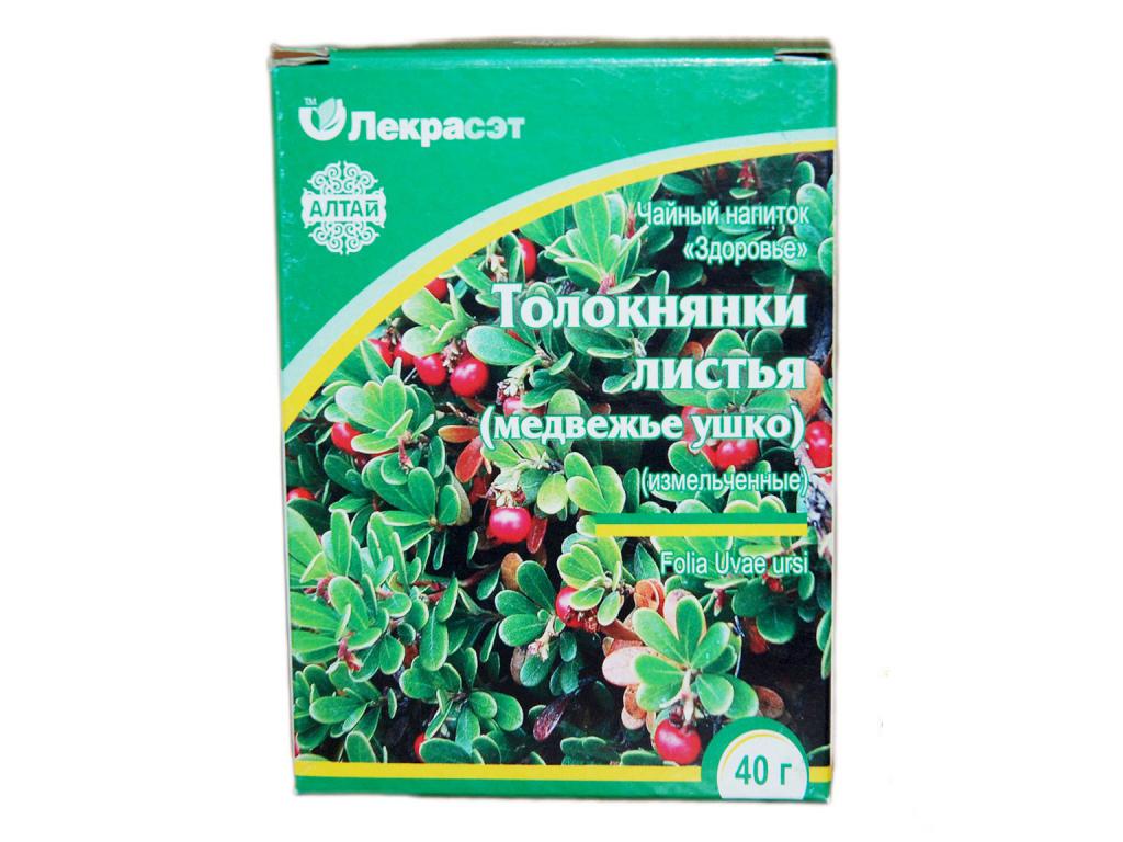 Bearberry หูหมีสามัญ