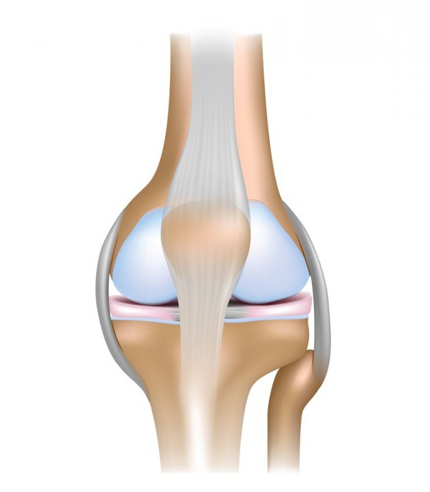 flexión de rodilla