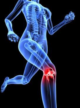 vitamins for joints and ligaments athletes reviews